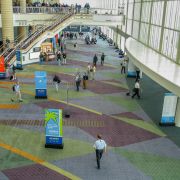 Carpet photo 2.jpg