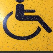 Train_handicap Logo 2.jpg